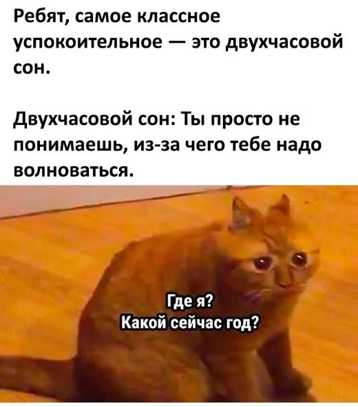 Ежедневные мемасы #2