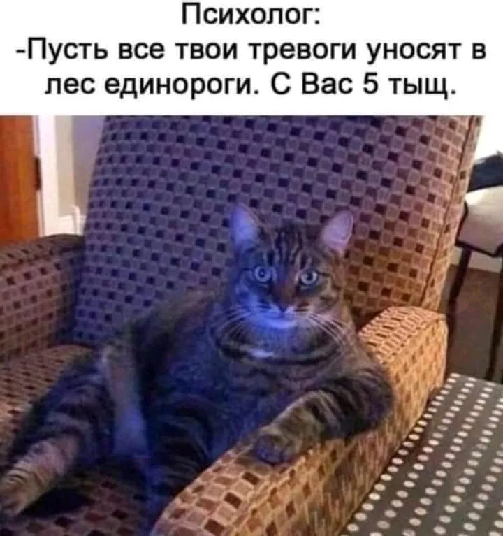Юмор 