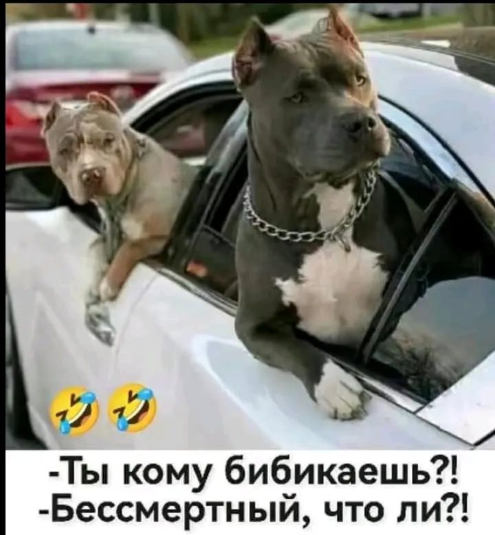 Юмор  #2