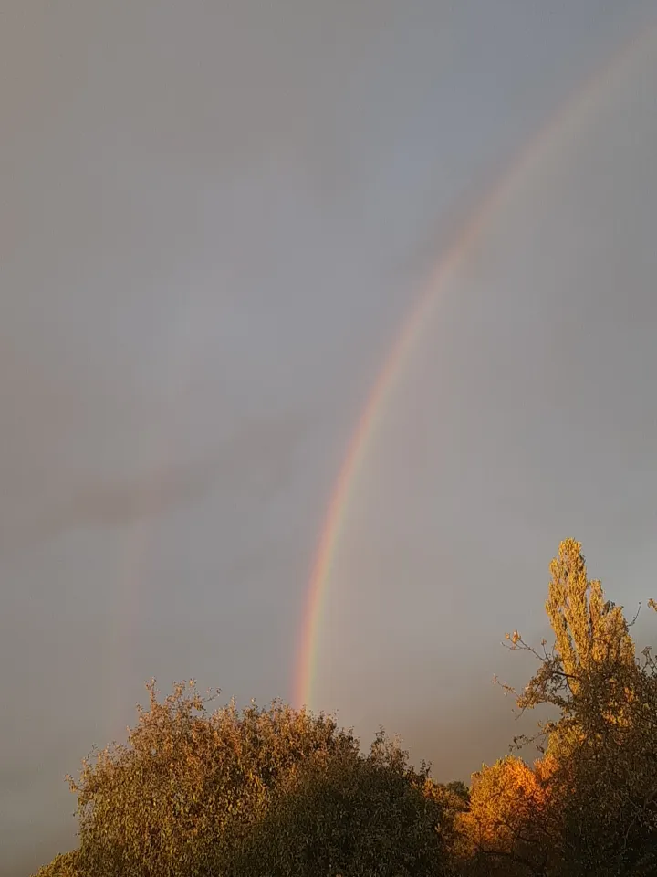 Просто красивая радуга  🌈 🌈 🌈 🌈  #2
