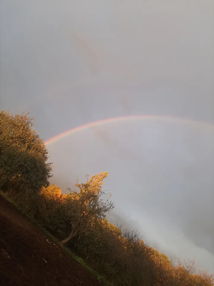 Просто красивая радуга  🌈 🌈 🌈 🌈  #4