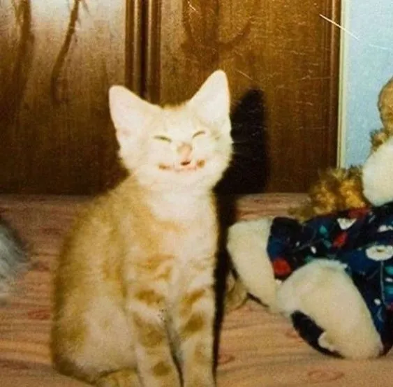 Smile #2