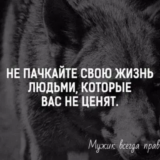 Гуми #1