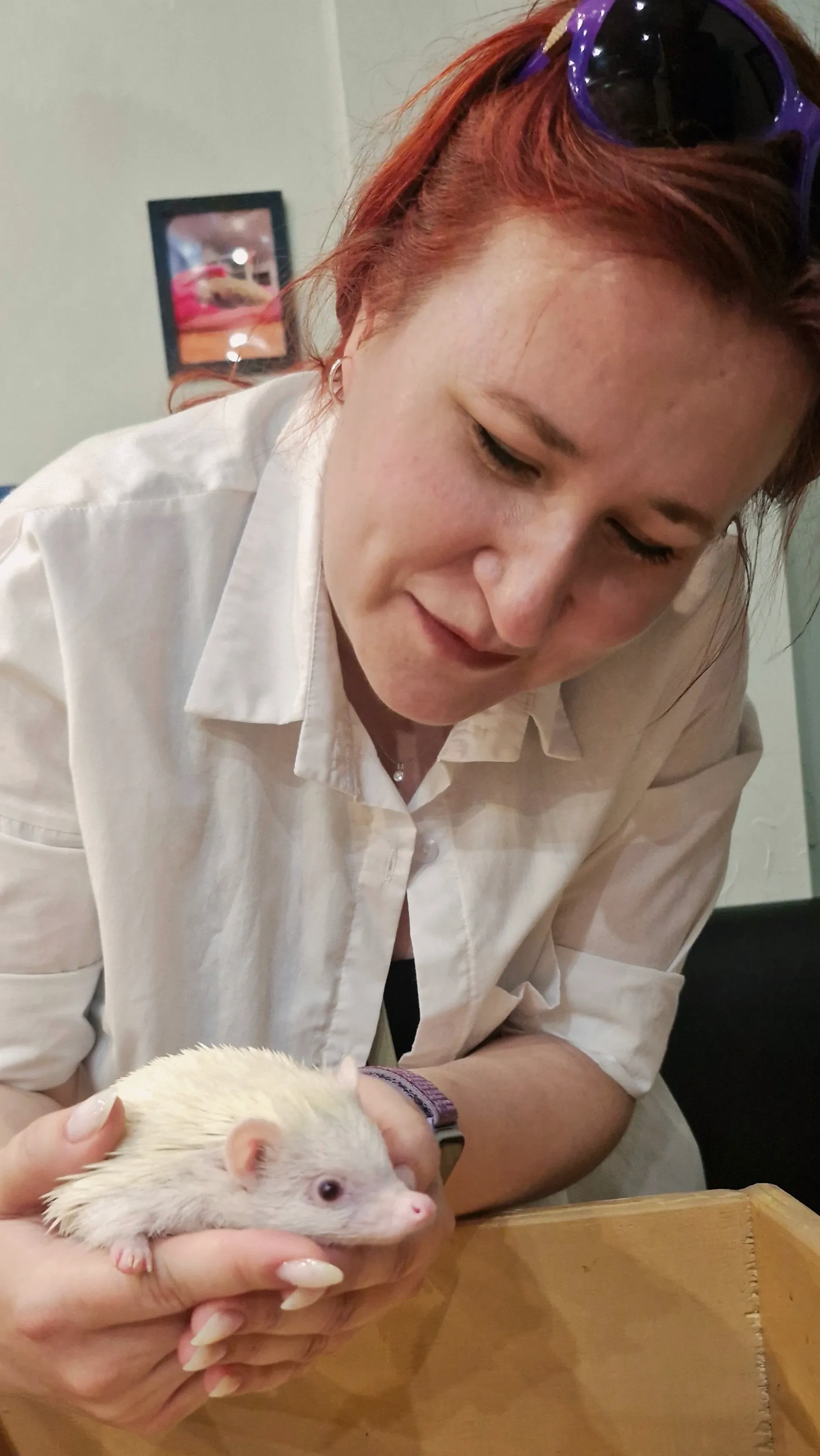 Час релакса с колючей компанией 🦔✨ #1