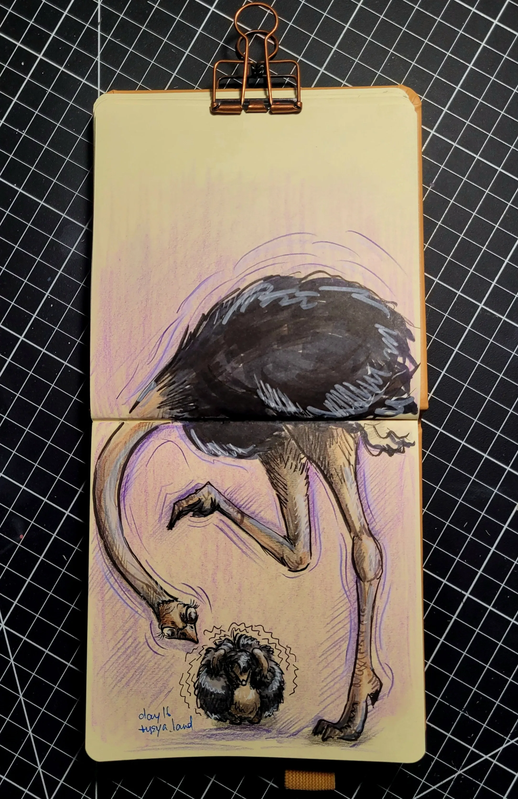 День 16: Gangly/Долговязый  #2