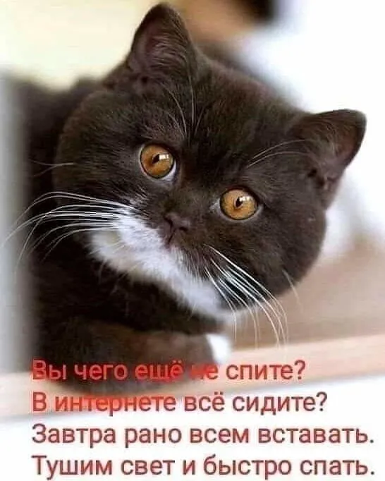Спокойной ночи!!!  #2