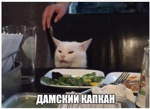 Знакомьтесь - капский даман  #1