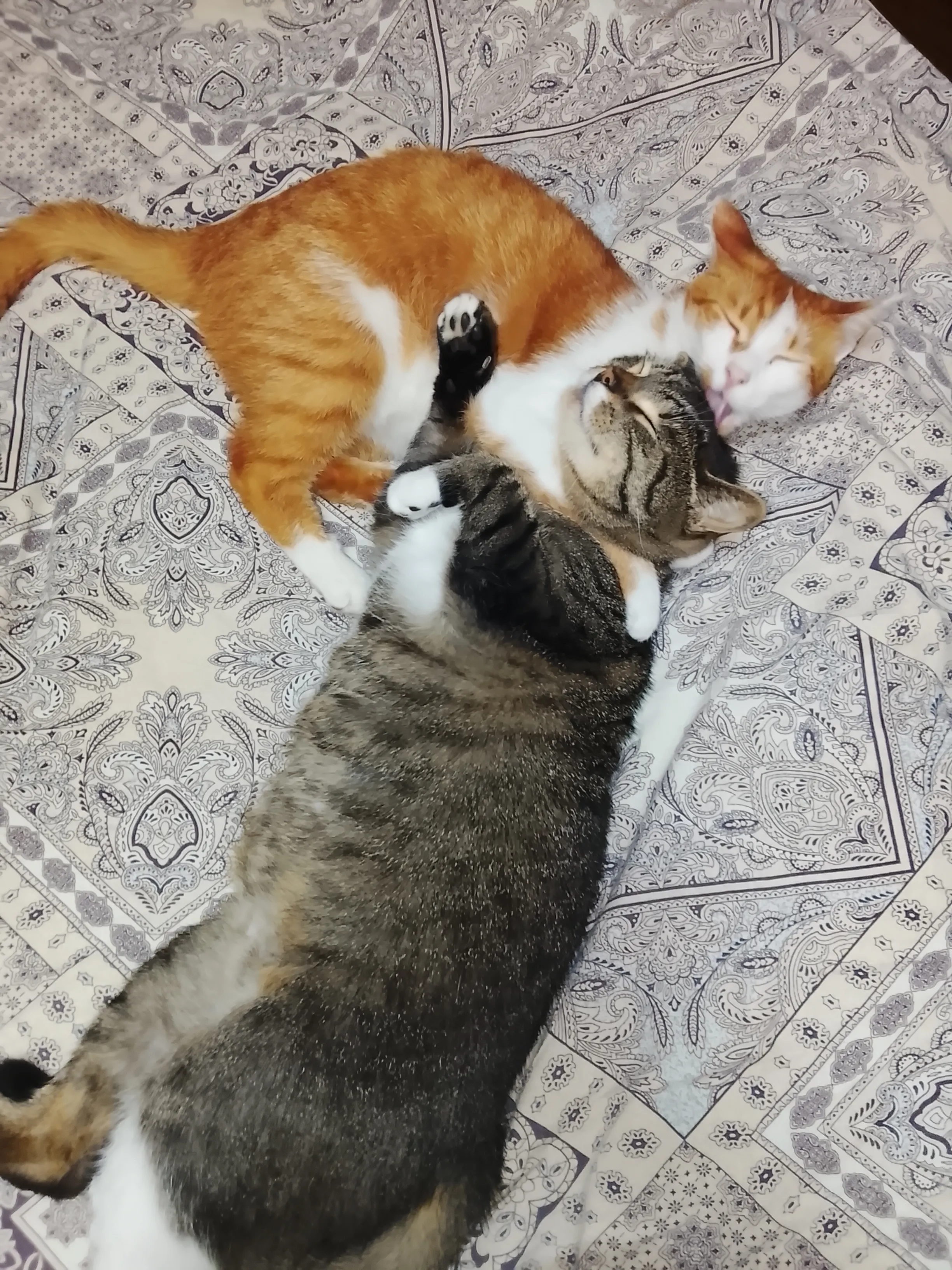 Такие милые :) 