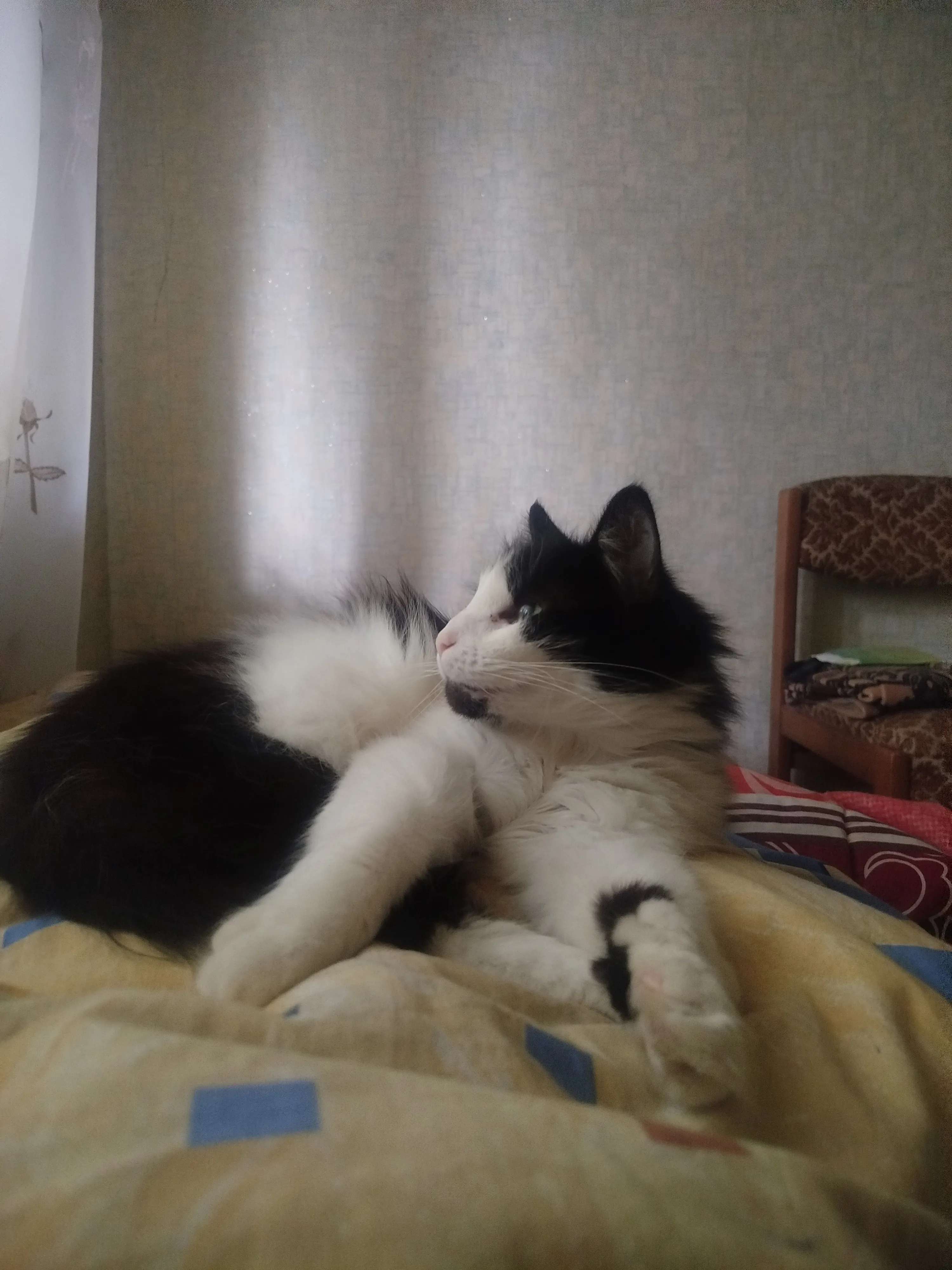 Харизматичный котик Кузя #8
