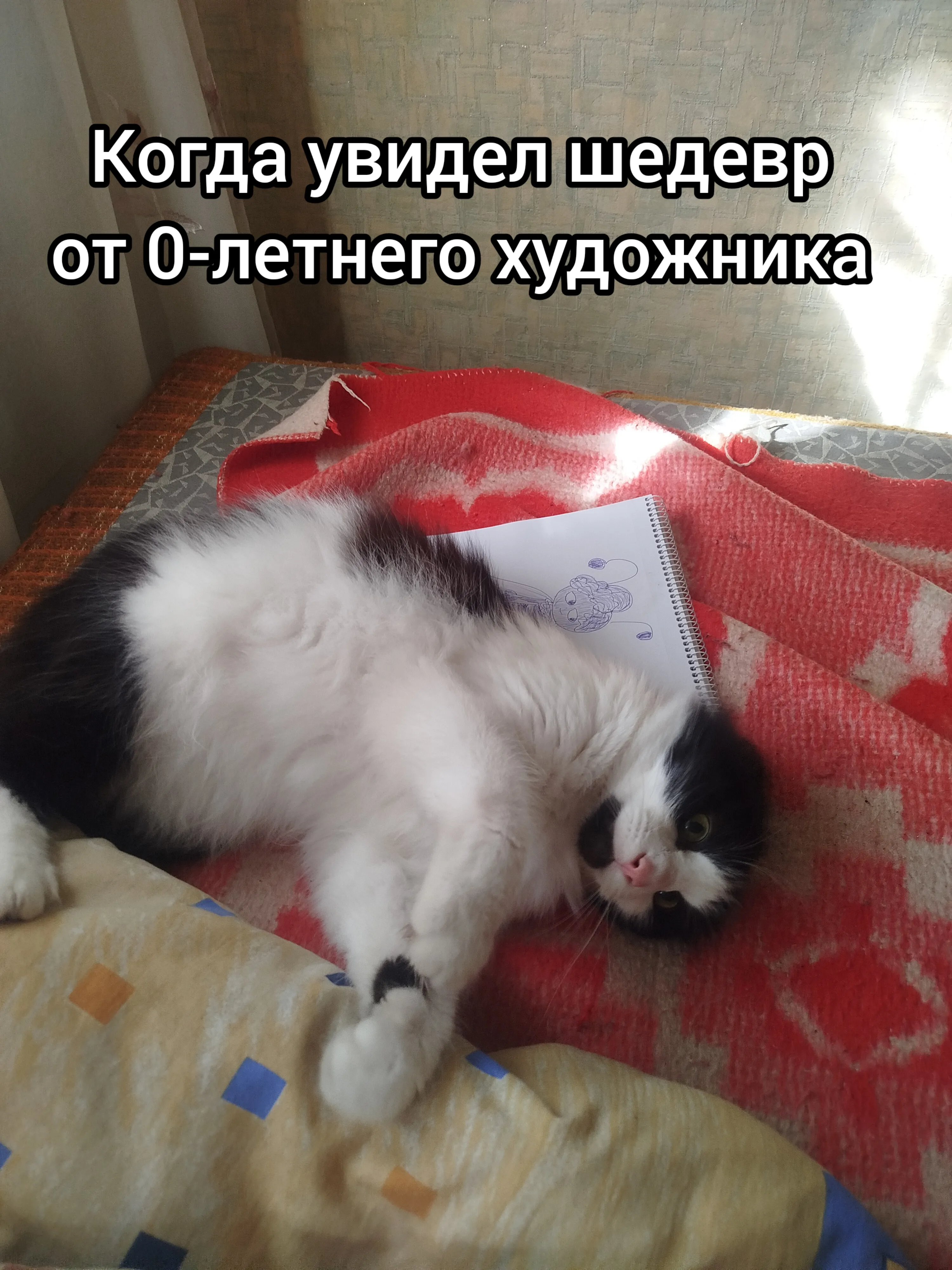 Харизматичный котик Кузя #15