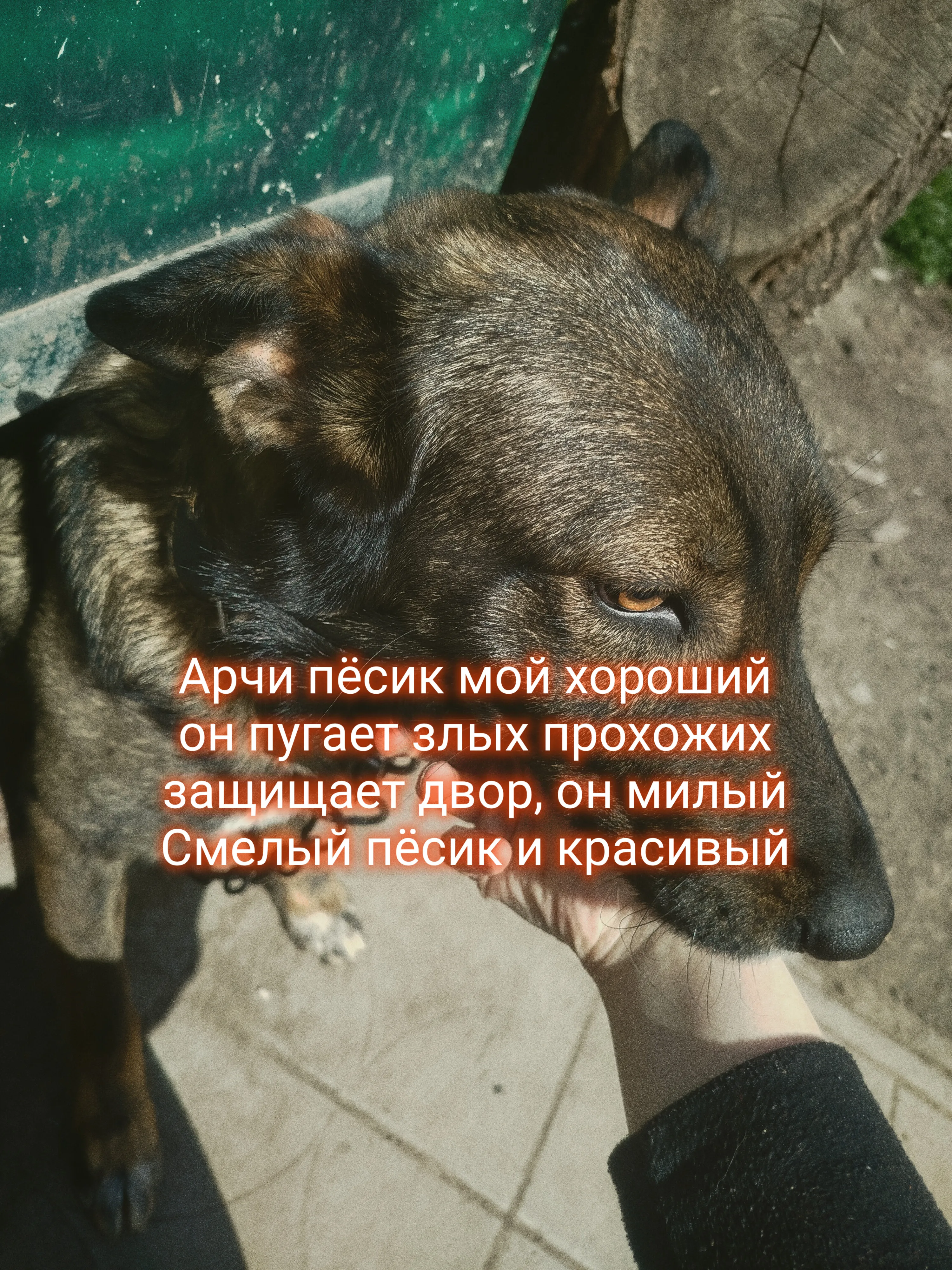 Ещё Арчи)