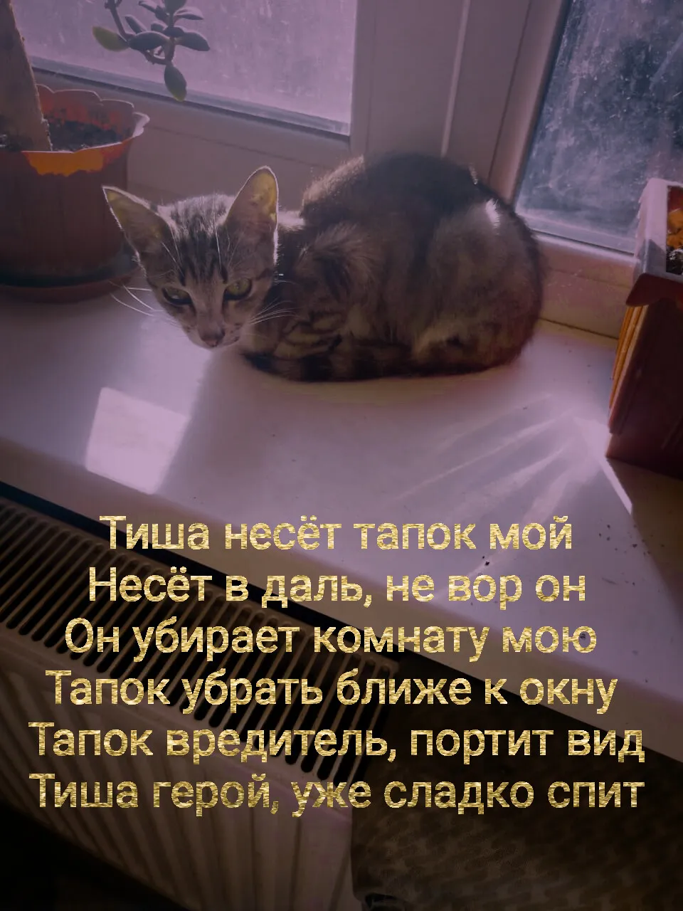 Память о Тише
