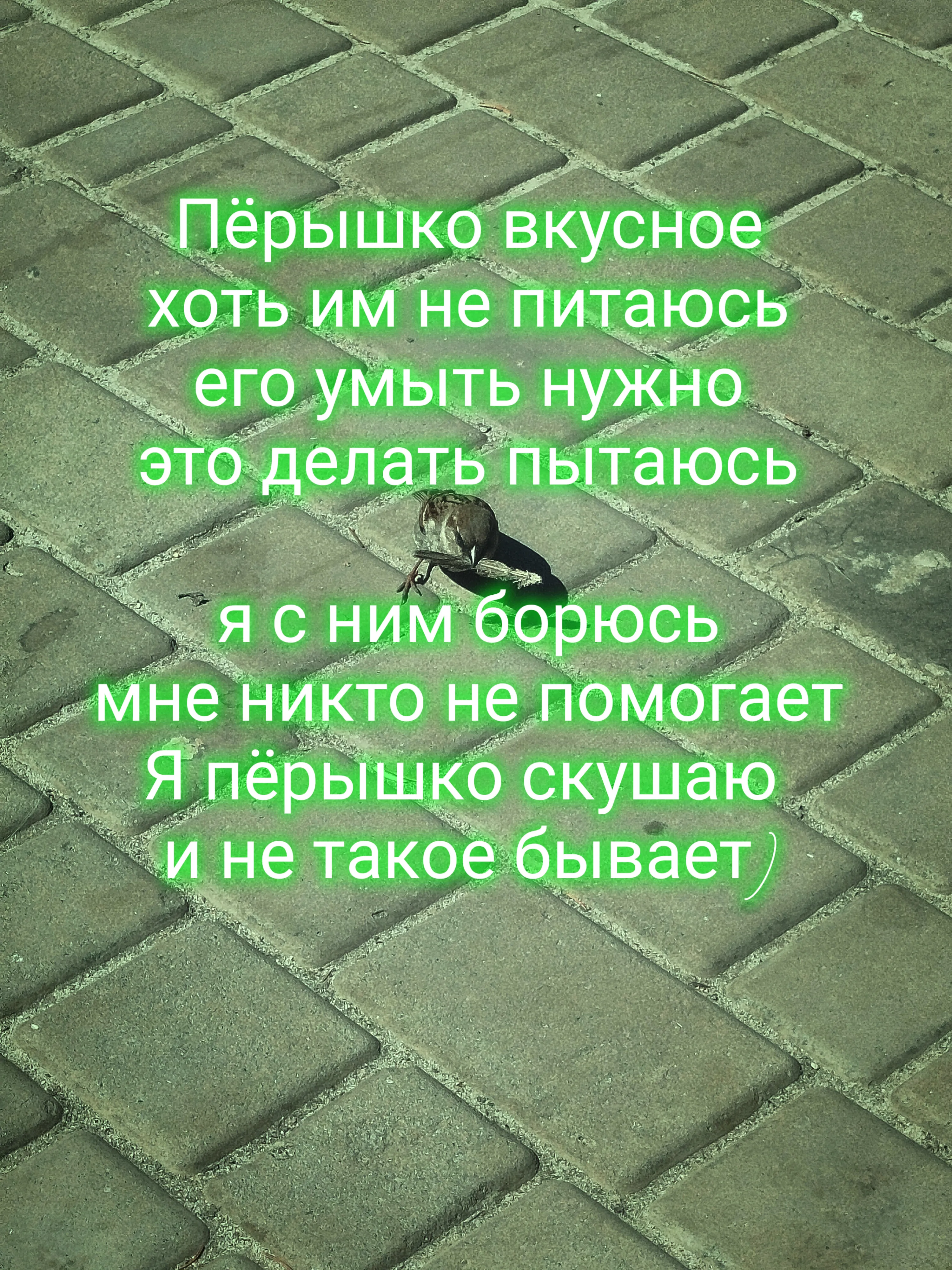 Воробушек который ел перо