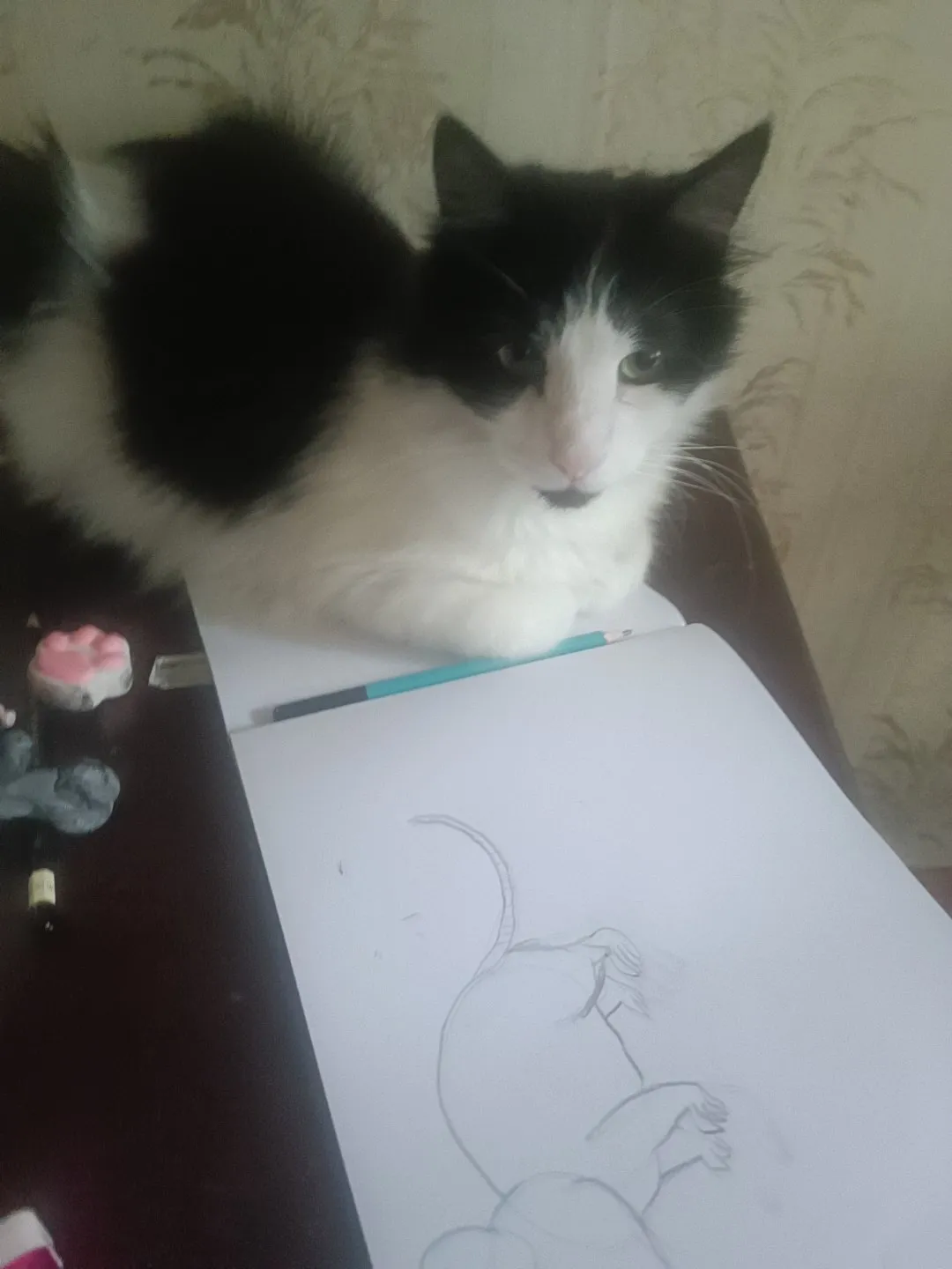 Котик Кузя  #1