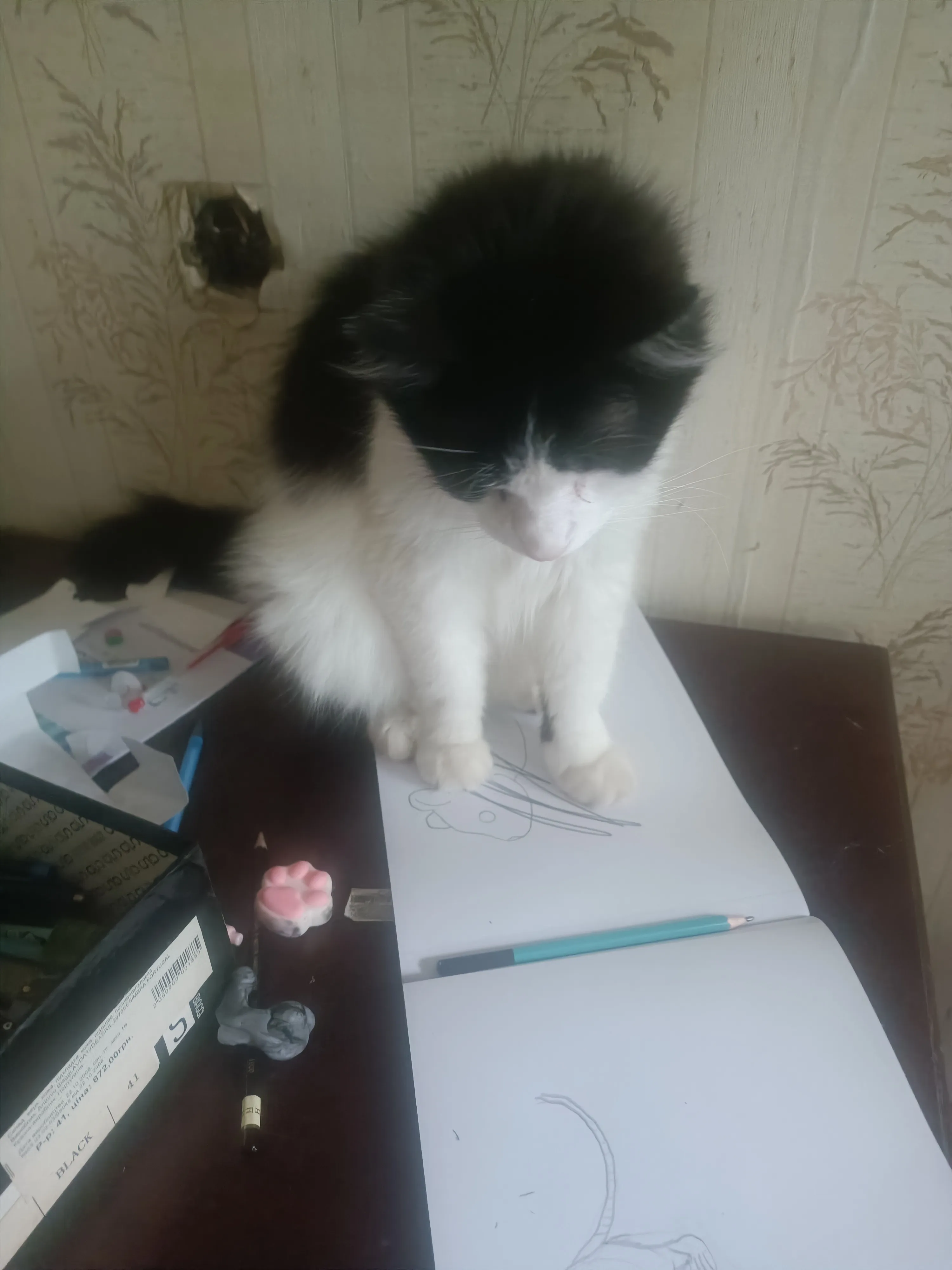 Котик Кузя  #2