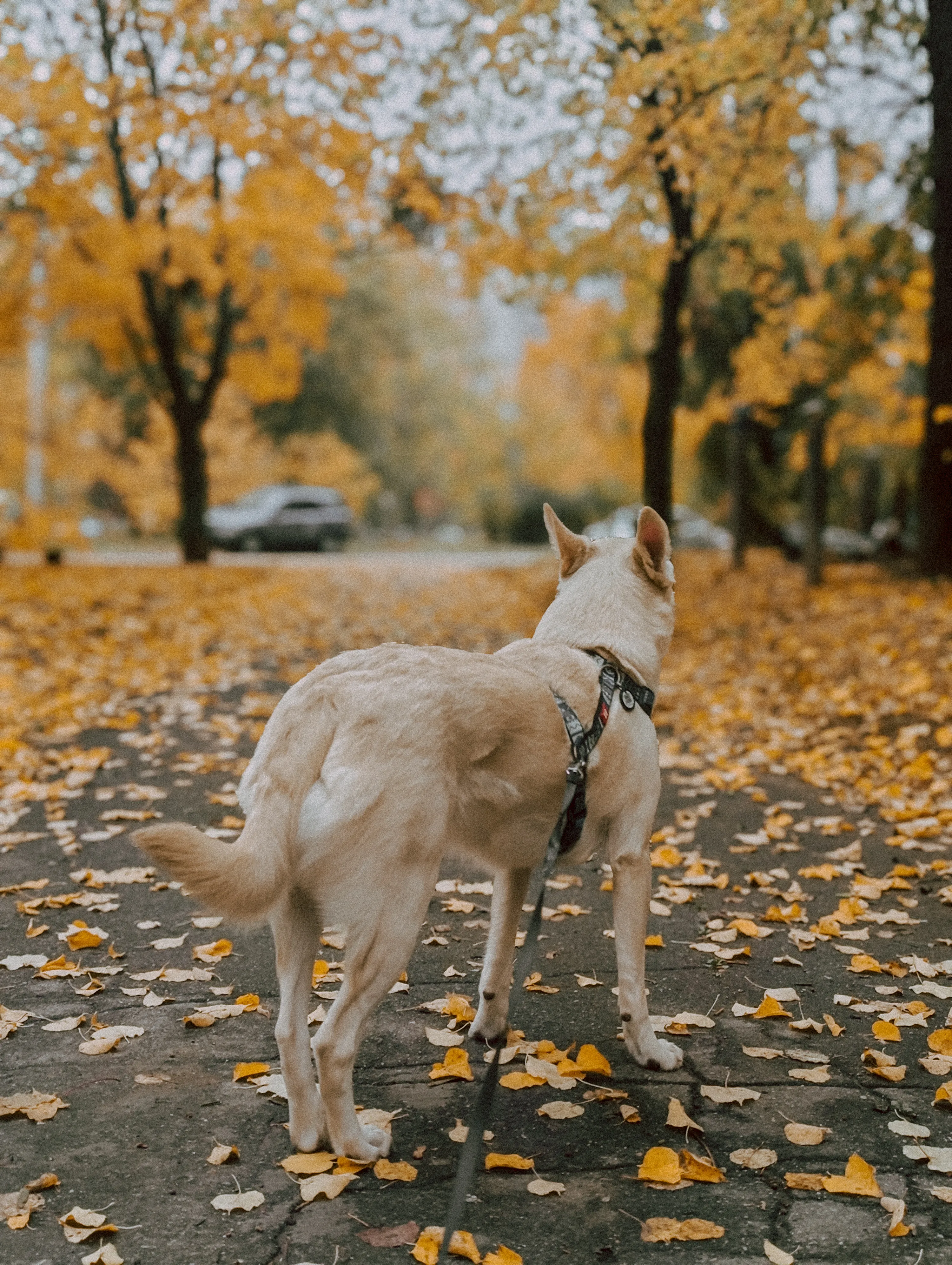 Моя❤️ #2
