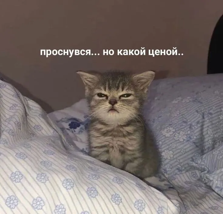 Всем доброго утра, последний день лета, как вы там?
