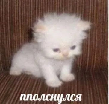 Всем доброе утро, теперь точно последний день лета, как вы там?