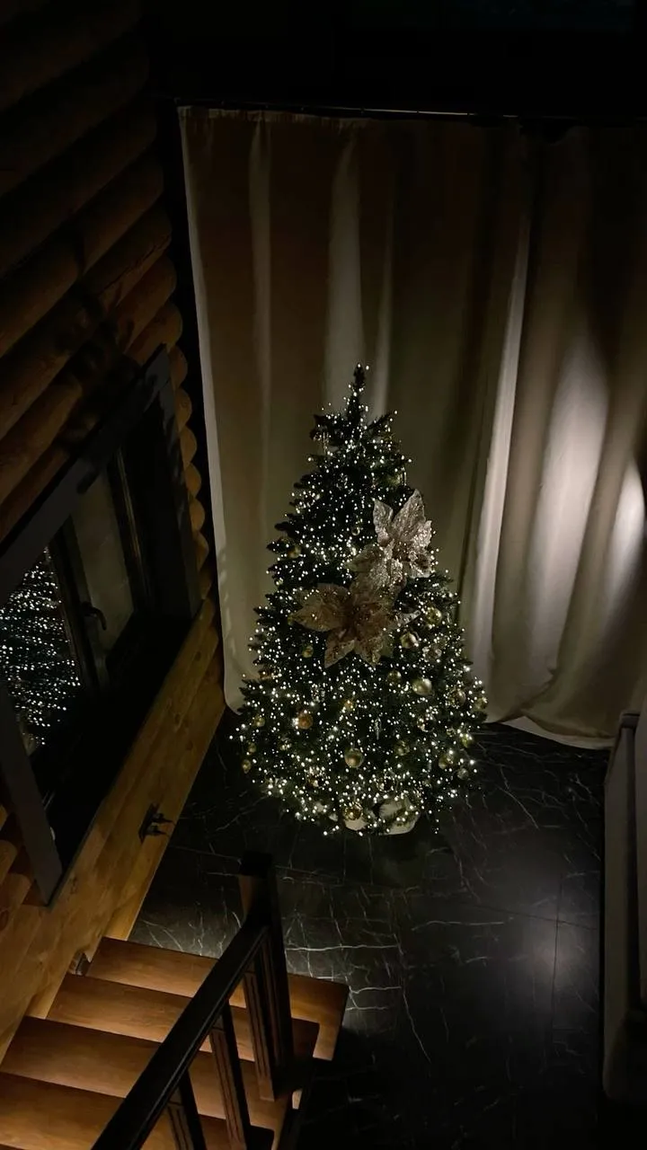 Christmas 🎄  #5