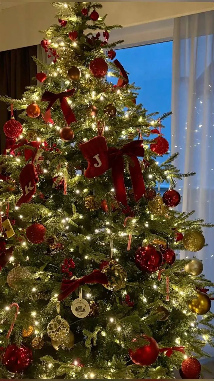 Christmas 🎄  #4