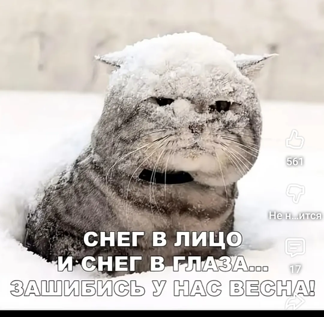 Плохая весна #1
