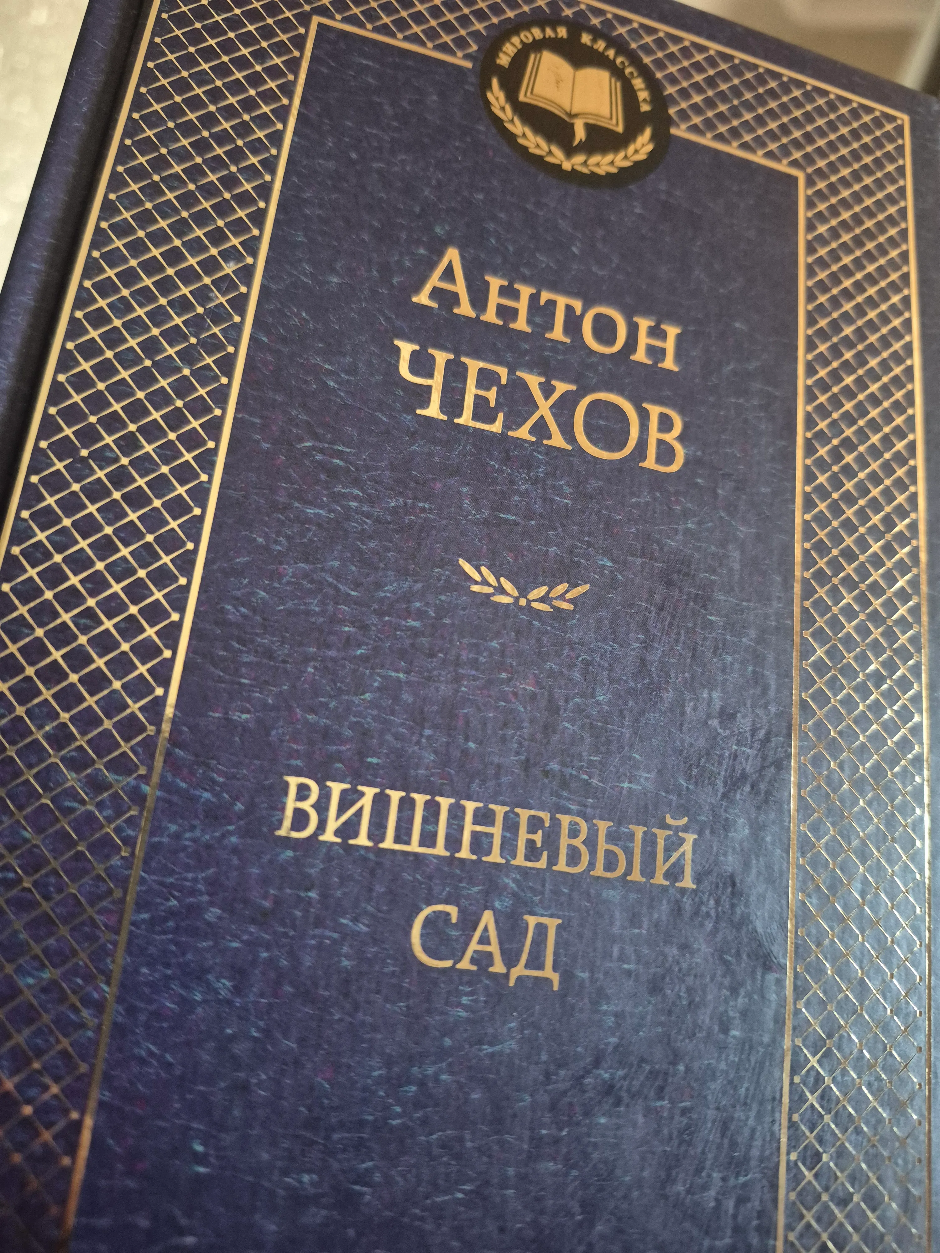 Начало чтения четырёх пьес Чехова: от «Чайки» к «Вишнёвому саду» #2