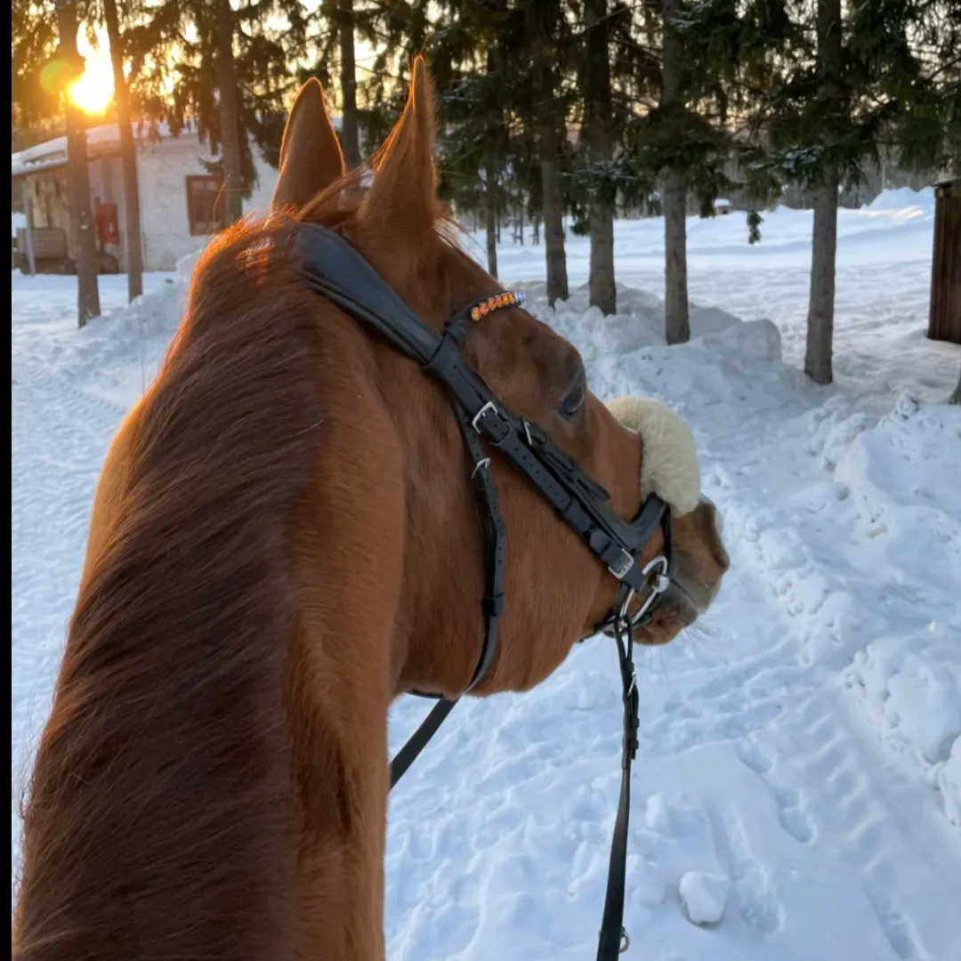 Прекрасное утро ✨