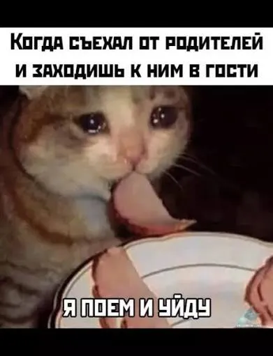 Радость родителей #1