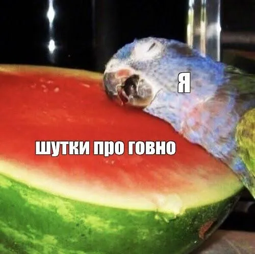 А  ваша собака помогает вам с домашними делами? #1