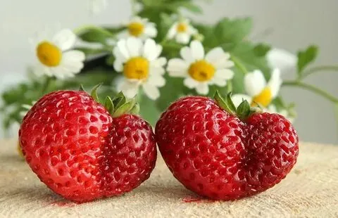 Какие они вкусные. 