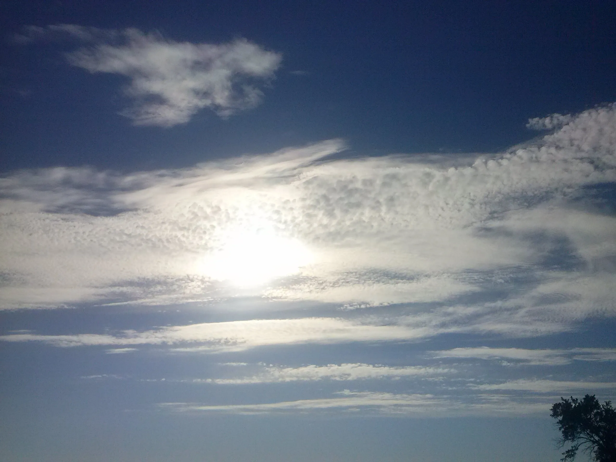 Природа #2