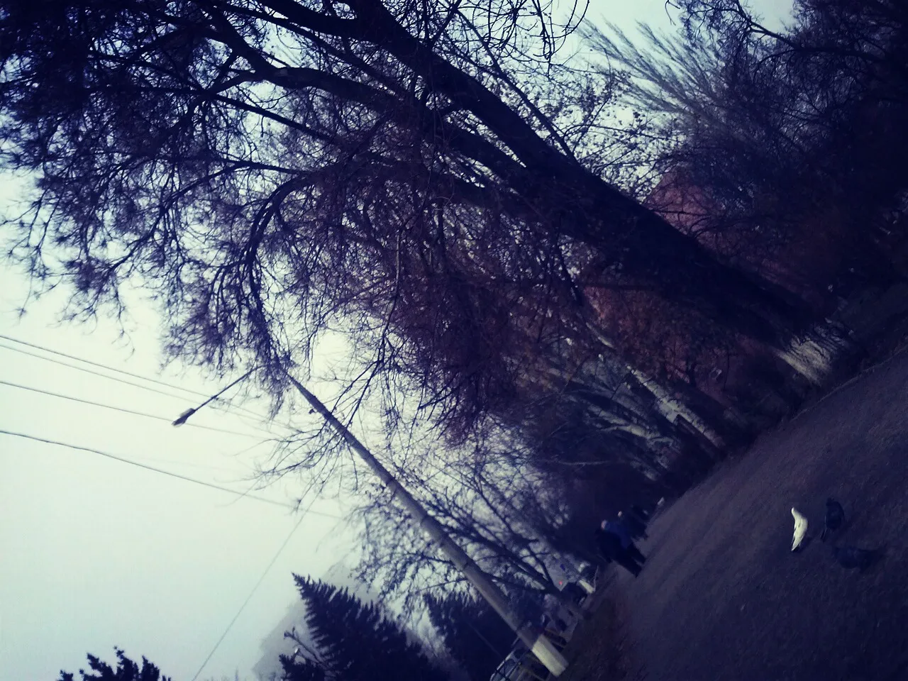 Природа #8