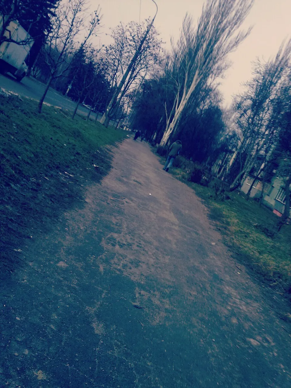 Природа #9