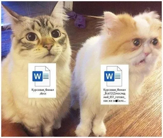 Отлично описывающий ситуацию мем прилагается