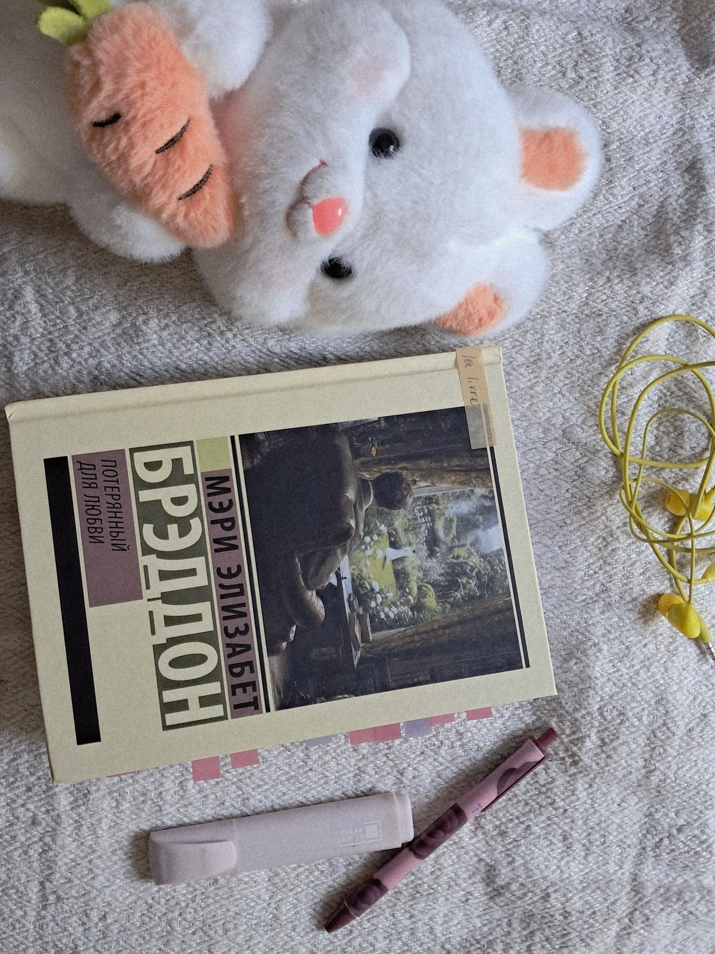 Эстетика чтения: первые впечатления о книге М. Е. Бреддон «Потерянный для любви» #2