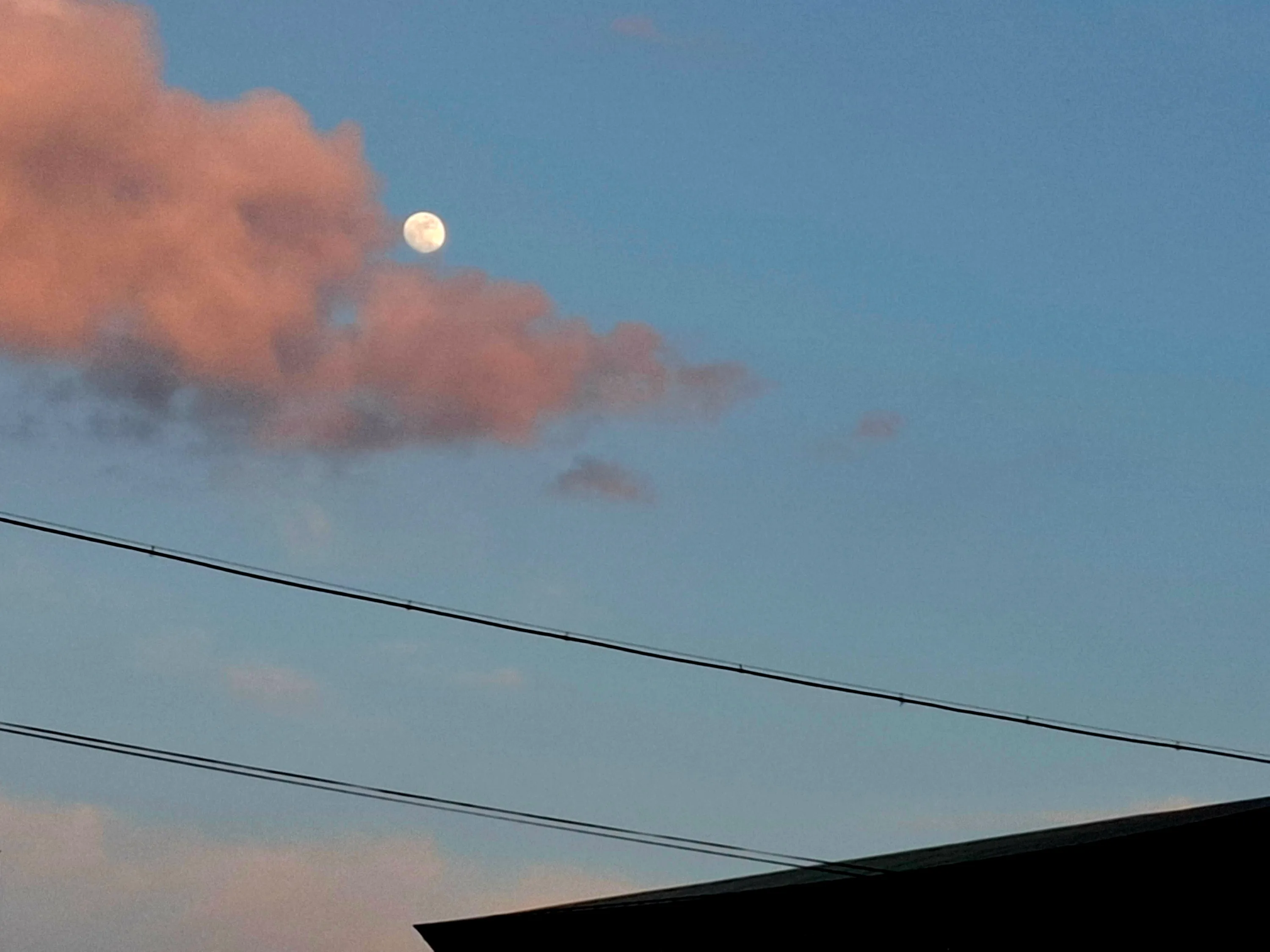 🌕☁️🪟🗼🪽🌱🌳🏔 #3
